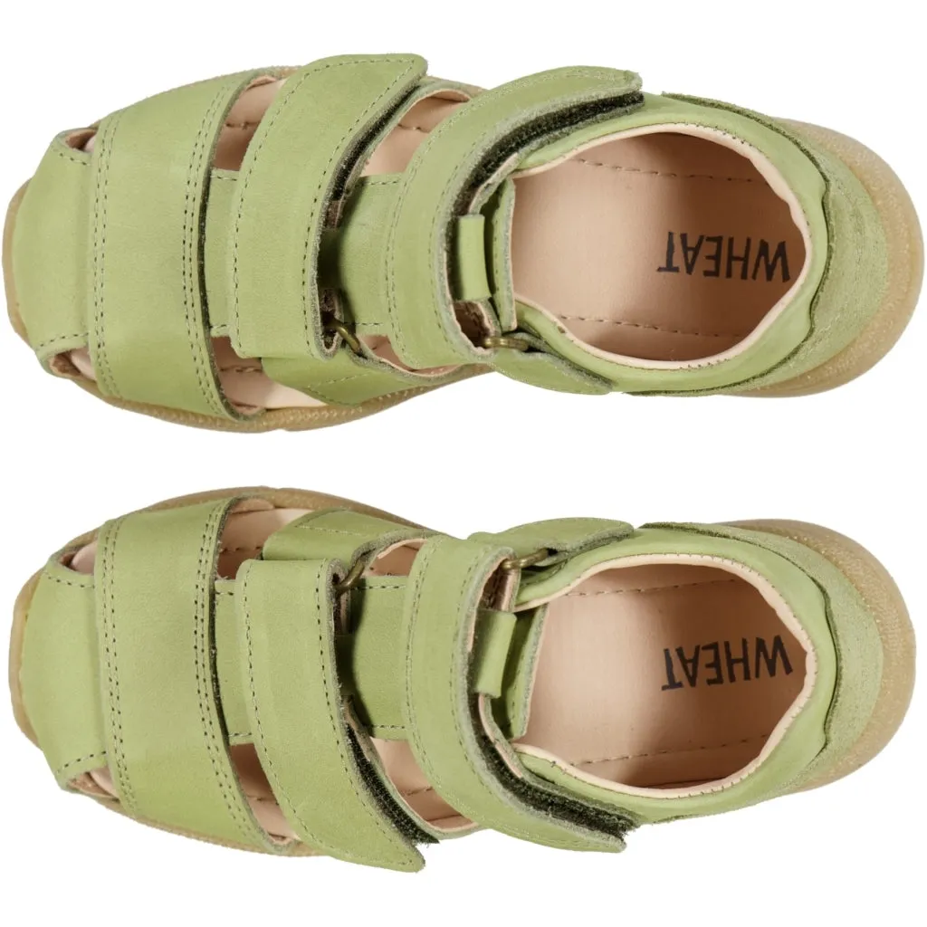 Figo shandal - heather green
